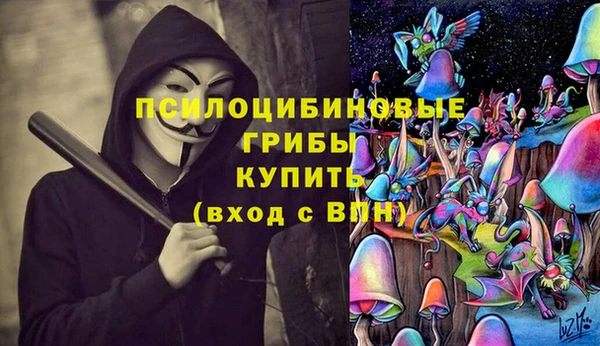 гашик Балахна